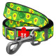 Повідець для собак нейлоновий WAUDOG Nylon, малюнок "Авокадо", регульований, Ш 25 мм, Дов 152-183 см