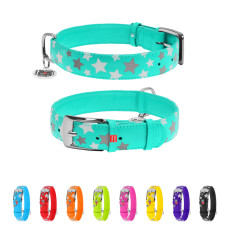 Нашийник для собак шкіряний WAUDOG Glamour з QR паспортом, візерунок "Зірочка", світлонакопичувальний/світловідбивний, XL, Ш 35 мм, Дов 46-60 см ментоловий