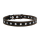 Нашийник "CoLLaR" безрозмірний (ширина 20мм, довжина 50см) чорний