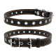 Нашийник "CoLLaR" безрозмірний (ширина 20мм, довжина 50см) чорний