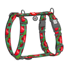 Шлея для собак анатомічна H-подібна WAUDOG Nylon з QR-паспортом, малюнок "Гранати", пластиковий фастекс, XL, Ш 35 мм, A 60-100 см, B 70-100 см