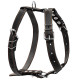 Шлея "CoLLaR" одинарна для середніх собак (ширина 25мм, А:49-68см, В:68-80см) чорний