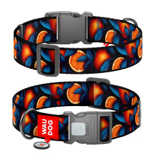 Нашийник для собак нейлоновий WAUDOG Nylon з QR паспортом, малюнок "Апельсини", пластиковий фастекс, XXL, Ш 35 мм, Дов 46-70 см