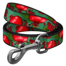 Повідець для собак нейлоновий WAUDOG Nylon, малюнок "Гранати", M, Ш 20 мм, Дов 200 см