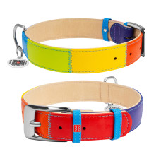 Нашийник для собак шкіряний WAUDOG Glamour з QR паспортом, "Веселка", M, Ш 20 мм, Дов 30-39 см
