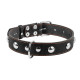 Нашийник "CoLLaR" одинарний з прикрасами (ширина 35мм, довжина 48-63см) чорний