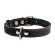 Нашийник "CoLLaR" одинарний (ширина 25мм, довжина 38-50см) чорний