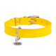 Нашийник для собак шкіряний WAUDOG Glamour з QR паспортом, без прикрас, Ш 25 мм, Дов 38-49 см жовтий