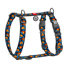 Шлея для собак анатомічна H-подібна WAUDOG Nylon з QR-паспортом, малюнок "Апельсини", пластиковий фастекс, M, Ш 20 мм, A 38-60 см, B 46-60 см