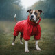 Дощовик для собак WAUDOG Clothes, водонепроникний, S40, В 56-59 см, С 37-40 см, червоний