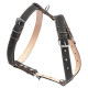 Шлея "CoLLaR" подвійна для середніх собак (ширина 25мм, А:49-68см, В:68-80см) чорний