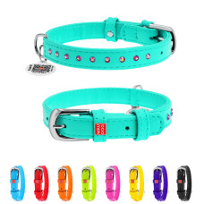 Нашийник для собак шкіряний WAUDOG Glamour з QR паспортом, з клейовими стразами, Ш 12 мм, Дов 21-29 см ментоловий