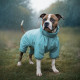 Дощовик для собак WAUDOG Clothes, водонепроникний, L55, В 77-79 см, С 50-55 см, блакитний