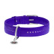 Нашийник для собак шкіряний WAUDOG Glamour з QR паспортом, подвійний зі стразами, L, Ш 25 мм, Дов 38-49 см фіолетовий