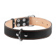 Нашийник "CoLLaR" подвійний (ширина 35мм, довжина 48-63см) чорний