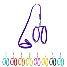 Шлея з повідцем для собак шкіряна WAUDOG Glamour з QR паспортом, Ш 9 мм, А 20-30 см, В 30-40 см фіолетовий