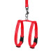 Шлея "Dog Extreme" з нейлону регульована з повідцем для морських свинок, декор.крис (ширина 10мм, В:12-22см), червоний