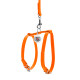 Шлея з повідцем для собак шкіряна WAUDOG Glamour з QR паспортом, Ш 12 мм, А 25-33 см, В 35-43 см помаранчевий