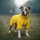 Дощовик для собак WAUDOG Clothes, водонепроникний, M35, В 59-62 см, С 37-40 см, жовтий