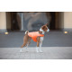 Куртка-накидка для собак AiryVest, XL, B 68-80 см, С 42-52 см помаранчевий
