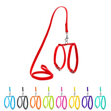 Шлея з повідцем для собак шкіряна WAUDOG Glamour з QR паспортом, Ш 9 мм, А 20-30 см, В 30-40 см червоний