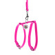 Шлея з повідцем для собак шкіряна WAUDOG Glamour з QR паспортом, Ш 9 мм, А 20-30 см, В 30-40 см рожевий