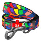 Повідець для собак нейлоновий WAUDOG Nylon, малюнок "Вітраж", регульований, Ш 15 мм, Дов 152-183 см