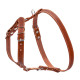 Шлея "CoLLaR" одинарна для малих та середніх собак (ширина 20мм, А:40-56см, В:57-65см) коричневий