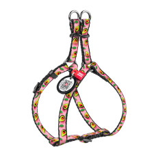 Шлея для котів та дрібних порід собак WAUDOG Nylon з QR паспортом, малюнок "Авокадо на рожевому", пластиковий фастекс, XS, Ш 10 мм, B=C 28-40 см