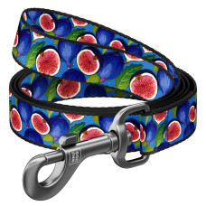 Повідець для собак нейлоновий WAUDOG Nylon, малюнок "Інжир", M, Ш 20 мм, Дов 200 см
