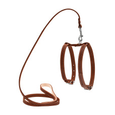 Шлея "CoLLaR" з повідцем для малих собак (ширина 14мм, дов. 122см) коричневий