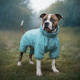 Дощовик для собак WAUDOG Clothes, водонепроникний, M35, В 59-62 см, С 37-40 см, блакитний