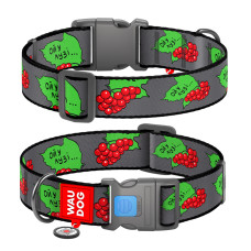 Нашийник для собак нейлоновий з QR паспортом, малюнок "Калина", пластиковий фастекс, XXL, Ш 35 мм, Дов 46-70 см
