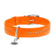Нашийник для собак шкіряний WAUDOG Glamour з QR паспортом, подвійний зі стразами, XL, Ш 35 мм, Дов 46-60 см помаранчевий