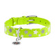 Нашийник для собак шкіряний WAUDOG Glamour з QR паспортом, візерунок "Зірочка", світлонакопичувальний/світловідбивний, L, Ш 25 мм, Дов 38-49 см салатовий