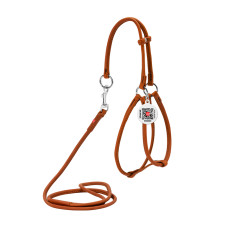 Шлея з повідцем для собак шкіряна WAUDOG Soft з QR паспортом, кругла, Д 6 мм, А 42-60 см, В 46-64 см коричневий