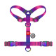 Шлея для собак анатомічна H-подібна WAUDOG Nylon Recycled з QR-паспортом, градієнт, M, Ш 20 мм, А 40-70, B 47-65 фіолетовий