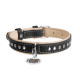 Нашийник для собак шкіряний WAUDOG Soft з QR паспортом, металічні прикраси, Ш 15 мм, Дов 27-36 см чорний
