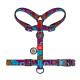 Шлея для собак анатомічна H-подібна WAUDOG Nylon з QR-паспортом, малюнок "Літо", пластиковий фастекс, М, Ш 20 мм, А 40-70, В 50-80