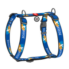 Шлея для собак анатомічна H-подібна з QR-паспортом, матеріал нейлон, малюнок "Прапор", пластиковий фастекс, розмір М, Ш 20 мм, А 40-70, В 50-80