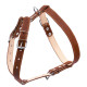 Шлея "CoLLaR" подвійна для середніх собак (ширина 25мм, А:49-68см, В:68-80см) коричневий