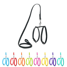 Шлея з повідцем для собак шкіряна WAUDOG Glamour з QR паспортом, Ш 9 мм, А 20-30 см, В 30-40 см чорний