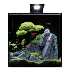 Акваріумний набір BlackCube 30 літрів, з чорною задньою стінкою, 31х31х31 см, скло 4 мм
